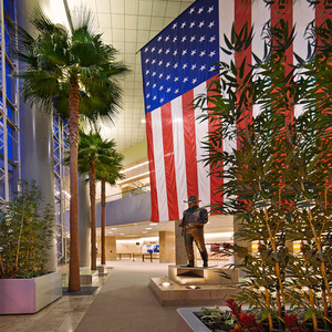 Chúng tôi đã làm một dịch vụ Thương mại sân bay Nội thất cảnh quan trang trí với cây cọ lớn được bảo quản tre lau sậy cây nhiệt đới cypres - Product Image 1