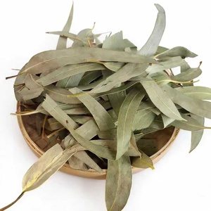 Feuilles d'<span class=keywords><strong>eucalyptus</strong></span> séchées de qualité supérieure, <span class=keywords><strong>tisane</strong></span> naturelle pour le soutien respiratoire, aromathérapie, vente en gros - Product Image 4