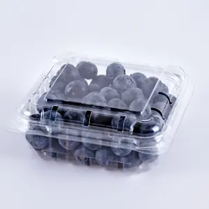 Lesui 125g Blueberry bao bì tái chế nhựa trái cây bao bì rõ ràng hộp trái cây Berry Blueberry vỏ sò container với lỗ