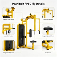 Machine commerciale à charges guidées pour Pec Fly et Deltéens Posterior, double fonction, équipement de musculation assis pour l'entraînement de force, à prix avantageux