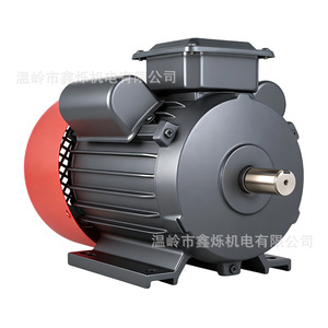 Single Phase Electric Motor 220V <b>Red</b> and Gray Industrial <b>Pump</b> Motor for Water Handling - Product Image 1