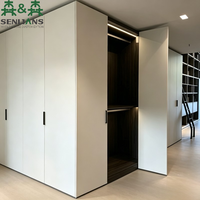 SLS Ästhetischer Umweltfreundlicher Einbauschrank mit Integrierter LED und Hochkontrast-Holzinnenausstattung Lackierter Kleiderschrank
