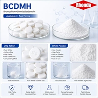 Comprimés BCDMH Premium 20g pour la désinfection des spas et des bains à remous, faible odeur, fabriqués en Chine