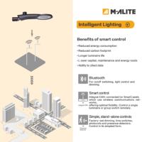Lámpara de Alumbrado Público LED con Control DALI 1-10V, Atenuación Gradual Midnight Step, 4G NB-IoT