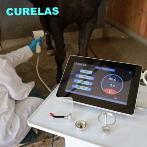 Máquina de Terapia Láser de Clase 4 para Fisioterapia Antiinflamatoria en Caballos - Product Image 3