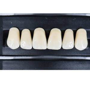 All'ingrosso Multi tonalità due strati anteriori inferiori denti in resina acrilica sintetica - Product Image 6