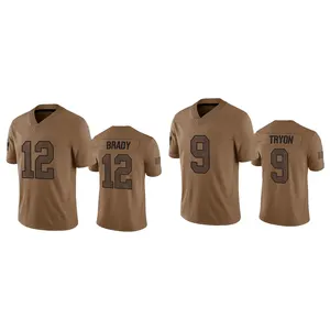 2023 Salute To Service Stitched Brown American Football Jerseys Tampa Bay 14 Chris Godwin 45 Devin White