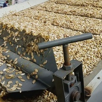 5 tonnes continu maille ceinture sécheur air sec machine pour macadamia noix séchoir arachide séchoir noix séchage machine