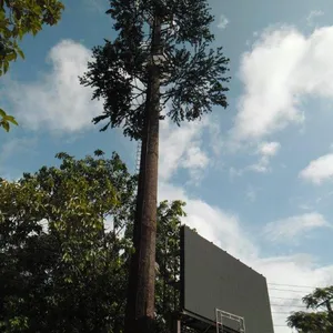 Torre camuflada da árvore da pinha para a telecomunicação