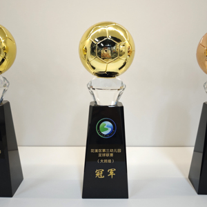 Giá rẻ kim cương pha lê Trophy với khắc logo/rõ ràng tinh thể kim cương thế giới Trophy Glass Trophy - Product Image 6