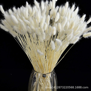 H070 — fabrication professionnelle chinoise décoration de mariage, graines séchées, fleurs séchées, queues de lapin, pampa - Product Image 5