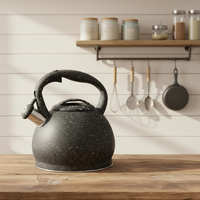 Bouilloire sifflante moderne en acier inoxydable pour la maison et le camping, capacité de 2 L, 2,5 L, 3 L, fond à induction