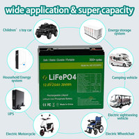 Proyek DIY, Kereta Golf, pencari ikan, Penyimpanan Energi Campinghome luar ruangan EBAK 12.8V 25Ah LiFePO4 Pak baterai