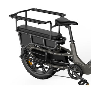 Vélo <span class=keywords><strong>cargo</strong></span> électrique EU/UK à longue portée, <span class=keywords><strong>moteur</strong></span> central 250W, vélo électrique familial 20 pouces pour le transport de courses lourdes et les trajets urbains - Product Image 5