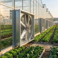 Ventilateur de refroidissement à entraînement direct MinXin, marteau lourd, 1000 mm, haute résistance, pour équipement d'élevage