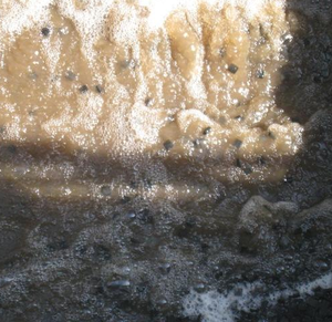 Nổi Biocell nhựa Bio phương tiện truyền thông mbbr <span class=keywords><strong>K1</strong></span> K3 K5 Lọc phương tiện truyền thông cho xử lý nước thải - Product Image 6