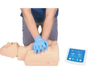 Modèle anatomique de mannequin de formation en RCP en PVC Zhizao Medical Sciences pour les écoles et les hôpitaux - Product Image 4