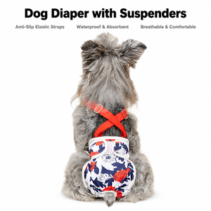 Culotte hygiénique personnalisée pour chienne, lavable et réutilisable, pour la période de chaleur, anti-martaillement, 2026 - Product Image 1