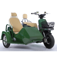 Tricycle Électrique Rétro 2 Places 72V 1000W avec Side-car, Modèle 2026, Vente Chaude, Qualité Supérieure, Moto Électrique à Trois Roues Côte à Côte
