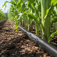 Ruban goutte-à-goutte à épaisseur de paroi de 0,2 mm / Ruban goutte-à-goutte plat / Ruban d'irrigation goutte-à-goutte agricole pour économiser l'eau pour les légumes de champ