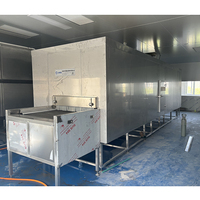 Hoge kwaliteit tunnelvriezer, CE-gekeurd, automatische snelvriesmachine voor fruit, groenten en vlees