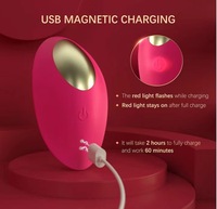 App-gesteuerter Tragbarer Slip-Vibrator Klitoris-Stimulator Saugvibrator Großhandelslieferant
