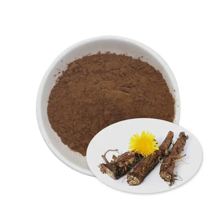 Hot sale Chinese Herb Dandelion extract
