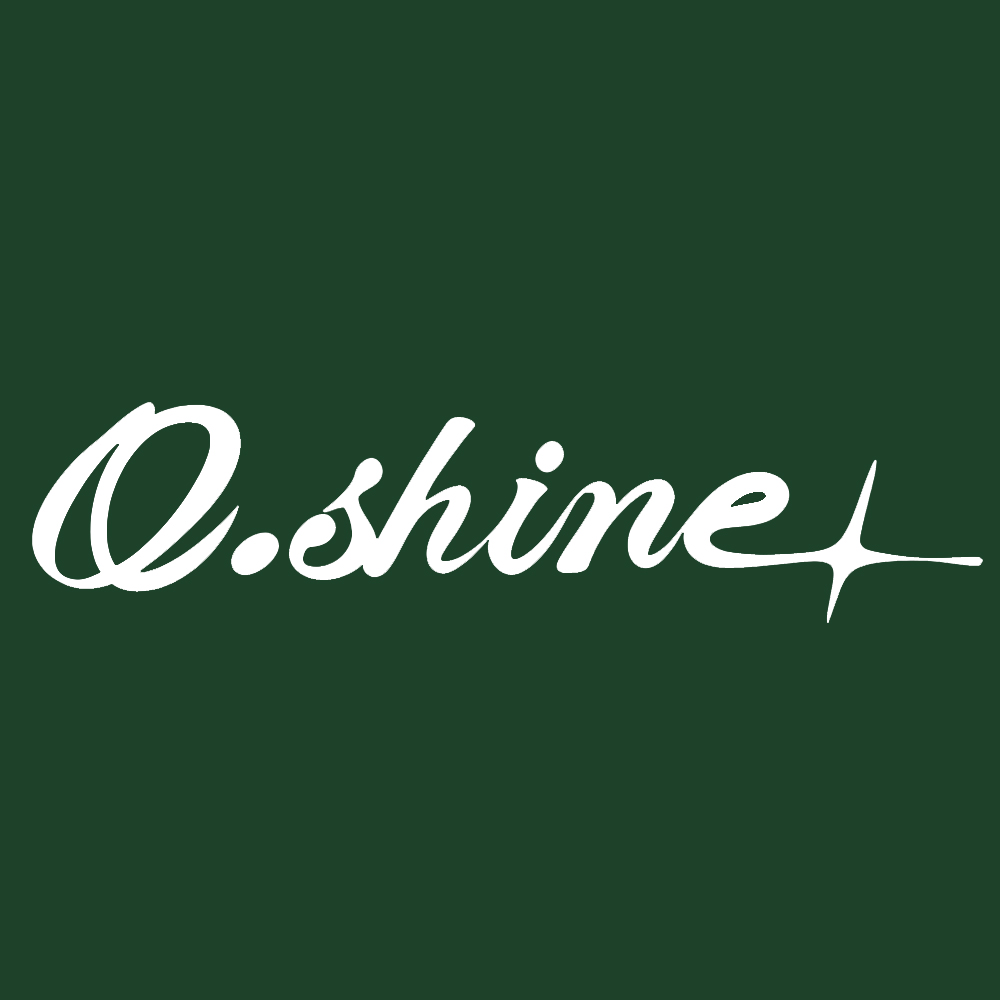 Shenzhen Q-Shine Clothing Co., Ltd. logo