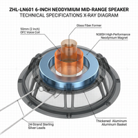 Haut-parleur PA néodyme 6 pouces 120W AES, bobine vocale 50mm, aimant N38SH, transducteur médium léger pour système audio Line Array