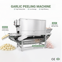 SAIDASHI CE-gecertificeerde automatische kettingknoflookschilmachine voor voedselproductielijn, kettingknoflookpelmachine 400kg/u