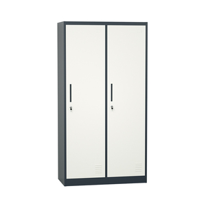 Hiện Đại Kim Loại Bền Tủ Quần Áo Đồ Nội Thất Phòng Ngủ Đa-Màu 2 Cửa Thép <span class=keywords><strong>Locker</strong></span> Với Quần Áo Treo Lưu Trữ <span class=keywords><strong>Locker</strong></span> Cho Nhà - Product Image 2