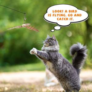 Juguetes de Varita Interactivos para Gato con Mango de Madera Resistente y Campana para Gatitos Juguete de Cuerda Juguete de Plumas para Gato - Product Image 6