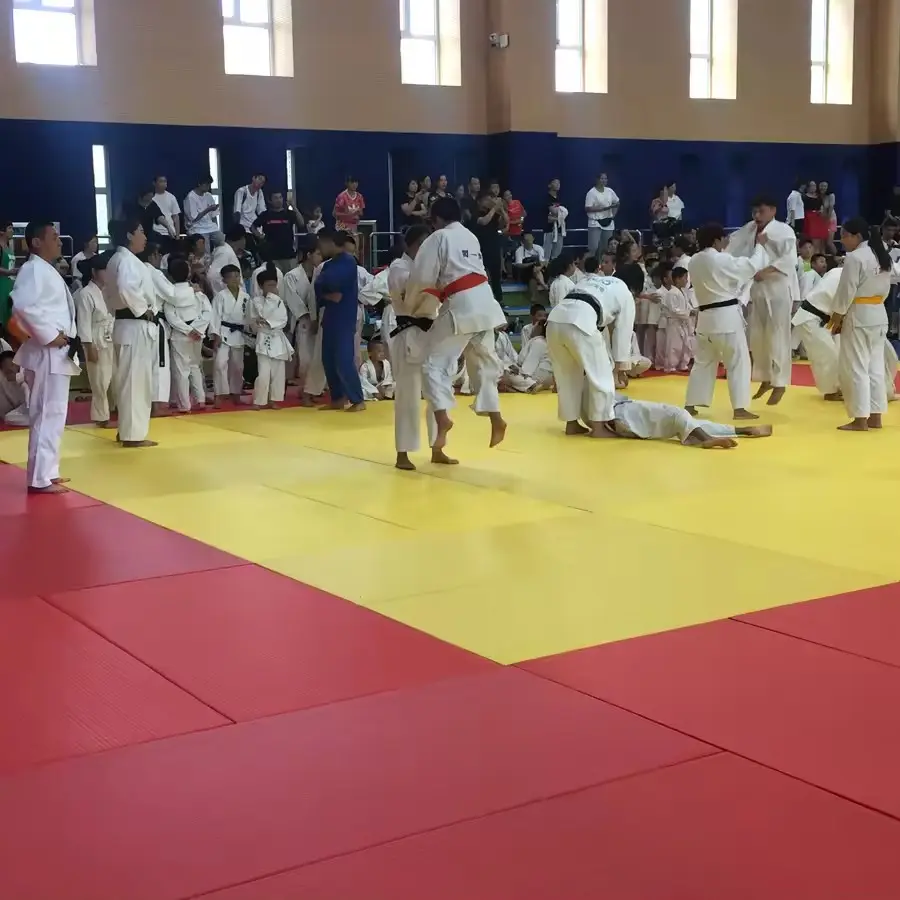 Kualitas tinggi antiselip dukungan PVC tikar judo Taekwondo matras gulat TATAMI