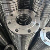 Vente directe d'usine de brides et raccords de tuyauterie en acier allié forgé ASME B16.5 pour les applications de passerelles de villas et de parcs