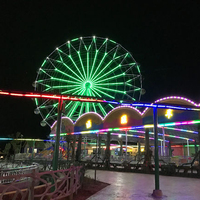 Meilleure vente de manèges de parc d'attractions de l'usine professionnelle de la grande roue de 42m de hauteur à vendre