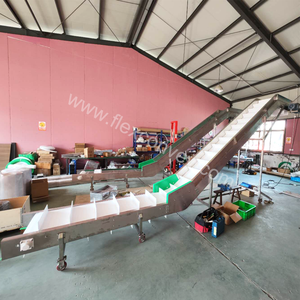 Lextransfer-Cinta transportadora inclinada tipo <span class=keywords><strong>Z</strong></span>, sistema de cinta modular inclinada para fabricación de alimentos y frutas - Product Image 5