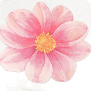 <span class=keywords><strong>Servilletas</strong></span> <span class=keywords><strong>de</strong></span> <span class=keywords><strong>Papel</strong></span> <span class=keywords><strong>de</strong></span> Lujo con Forma <span class=keywords><strong>de</strong></span> Flor, Paquete <span class=keywords><strong>de</strong></span> 20, Gruesas y <span class=keywords><strong>de</strong></span> Buena Absorción <span class=keywords><strong>para</strong></span> Decoración <span class=keywords><strong>de</strong></span> Hogar, Hotel, Quinceañera, Restaurante, Fiestas - Product Image 5