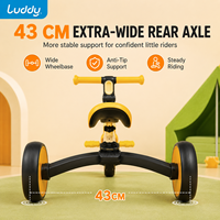 Luddy Custom Kinder 2-in-1 Roller mit verstellbarem Lenker, Kleinkind-Dreirad, Anti-Rollover, Aufsitzspielzeug für drinnen und draußen, 2-6 Jahre