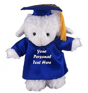 Peluche souvenir de saison de remise des diplômes CE EN71 CPC 25cm cochon agneau <span class=keywords><strong>Panda</strong></span> <span class=keywords><strong>docteur</strong></span> poupée robe de célibataire casquette avec logo vente en gros OEM ODM - Product Image 3