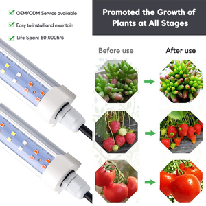 ไฟปลูกต้นไม้ LED T8 ขนาด 120 ซม. 30 วัตต์ ยี่ห้อ <span class=keywords><strong>Samsung</strong></span> พร้อมปลั๊ก  กันน้ำ IP65 สเปกตรัมปรับแต่งได้ สำหรับปลูกไมโครกรีนและผักกาดหอมในร่ม - Product Image 5