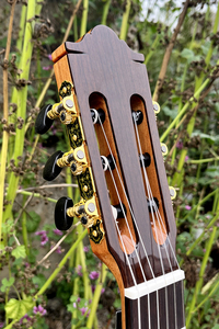 Guitarra Clásica de Cuerdas de Nylon Marca Aiersi Hecha a Mano de <span class=keywords><strong>Buena</strong></span> Calidad con Tapa Sólida y Aros y Fondo de Palisandro - Product Image 6