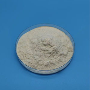 Fabbrica diretta solubile in acqua chitosano lattato Off-<span class=keywords><strong>white</strong></span> polvere KR con 90% purezza - Product Image 3