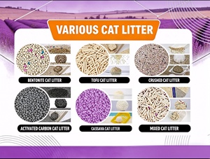 Fabricant chinois de litière pour <span class=keywords><strong>chat</strong></span>, service OEM, litière pour <span class=keywords><strong>chat</strong></span> en bentonite à faible teneur en poussière, absorption rapide, sans poussière, multi-parfums, faible émission de poussière, pour <span class=keywords><strong>chat</strong></span> - Product Image 5