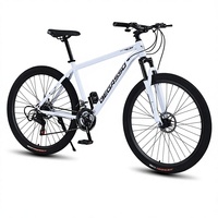 Vélo de montagne pour adulte de 29 pouces, équipement de plein air, vélo pour homme et étudiant, amortisseur, freins à double disque, vente en gros transfrontalière