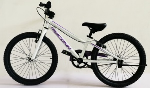 Vélo BMX pour enfants en acier de 20 pouces - Vélo pour enfants en promotion (SY-BM20018-A) - Product Image 2