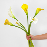 Grosir Pabrik Bunga Calla Lily Buatan 75cm, Bunga Calla Lily Grosir untuk Dekorasi Vas Pernikahan, Rumah, Hotel, dan Rangkaian Bunga