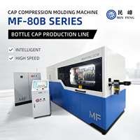 Machine de moulage par compression de bouchons à 32 cavités, 40 000 bouchons/heure, machine de capsulage MINFENG, haute précision, compression de bouchons
