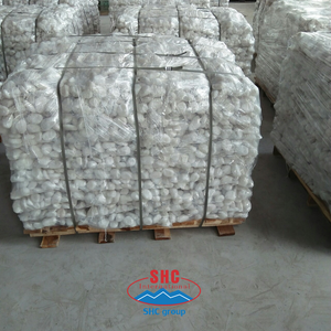Pierre de rivière vietnamienne 20kg galets blancs neige naturels - Product Image 4