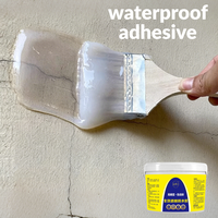 Sellador Transparente de Alta Resistencia, Revestimiento Impermeable para Superficies de Concreto, Azulejos y Ladrillos, Pintura Sellante Impermeable Universal