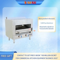 Grill de comptoir au gaz naturel/GPL Core Pro CP-SM24 en acier inoxydable de qualité alimentaire, 26 000 BTU, avec grille réglable sur 4 positions